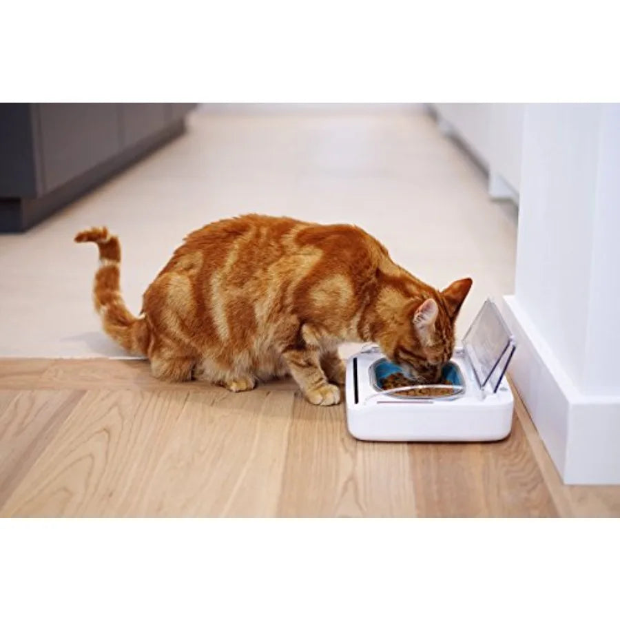 SureFeed Motion Activated Sealed Pet Bowl with T Microchip Activation for Secure Feeding Durable Plastic Black Prevents Unautho