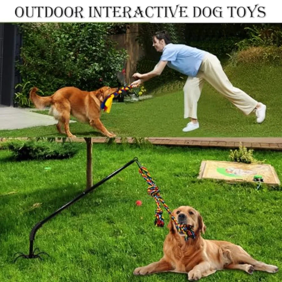 Tether Tug Toy for Dogs, Outdoor Interactive Play Equipment with 2 Ropes Adjustment Height Upgraded Spring Pole, Tug of War for
