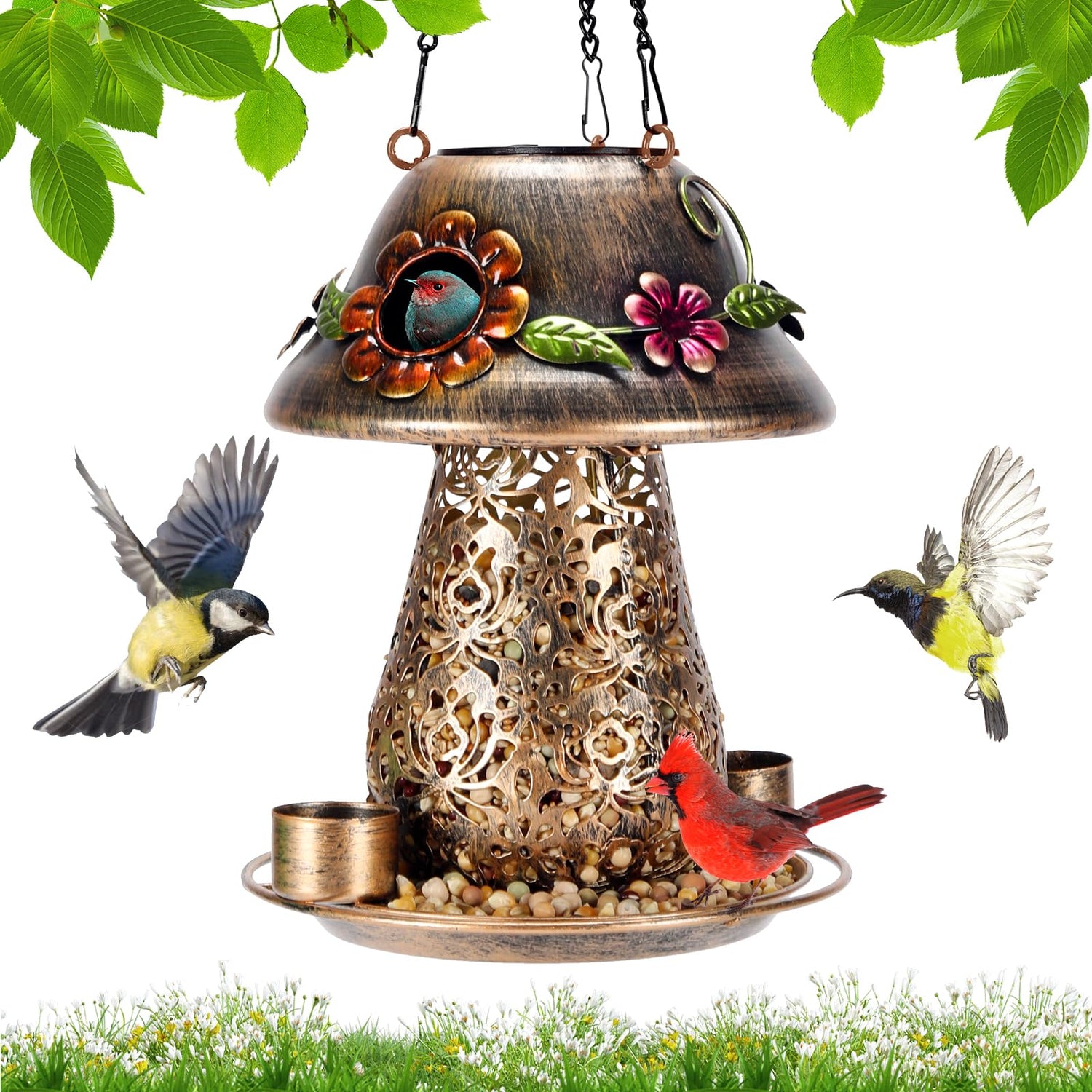 Bird Feeders