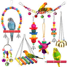 Bird Toys