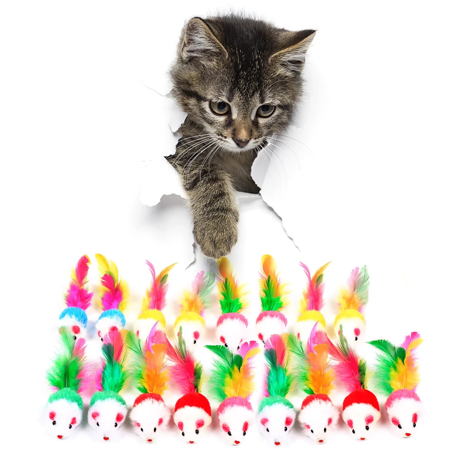 Cat Toys