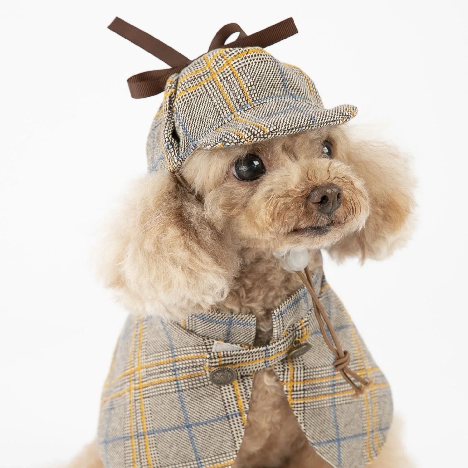 Dog Clothes