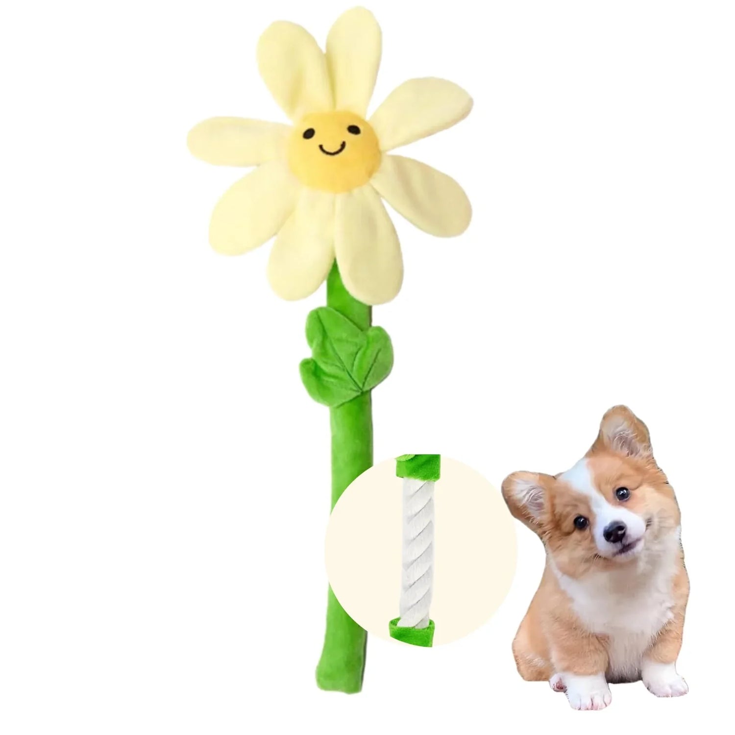 Dog Toys