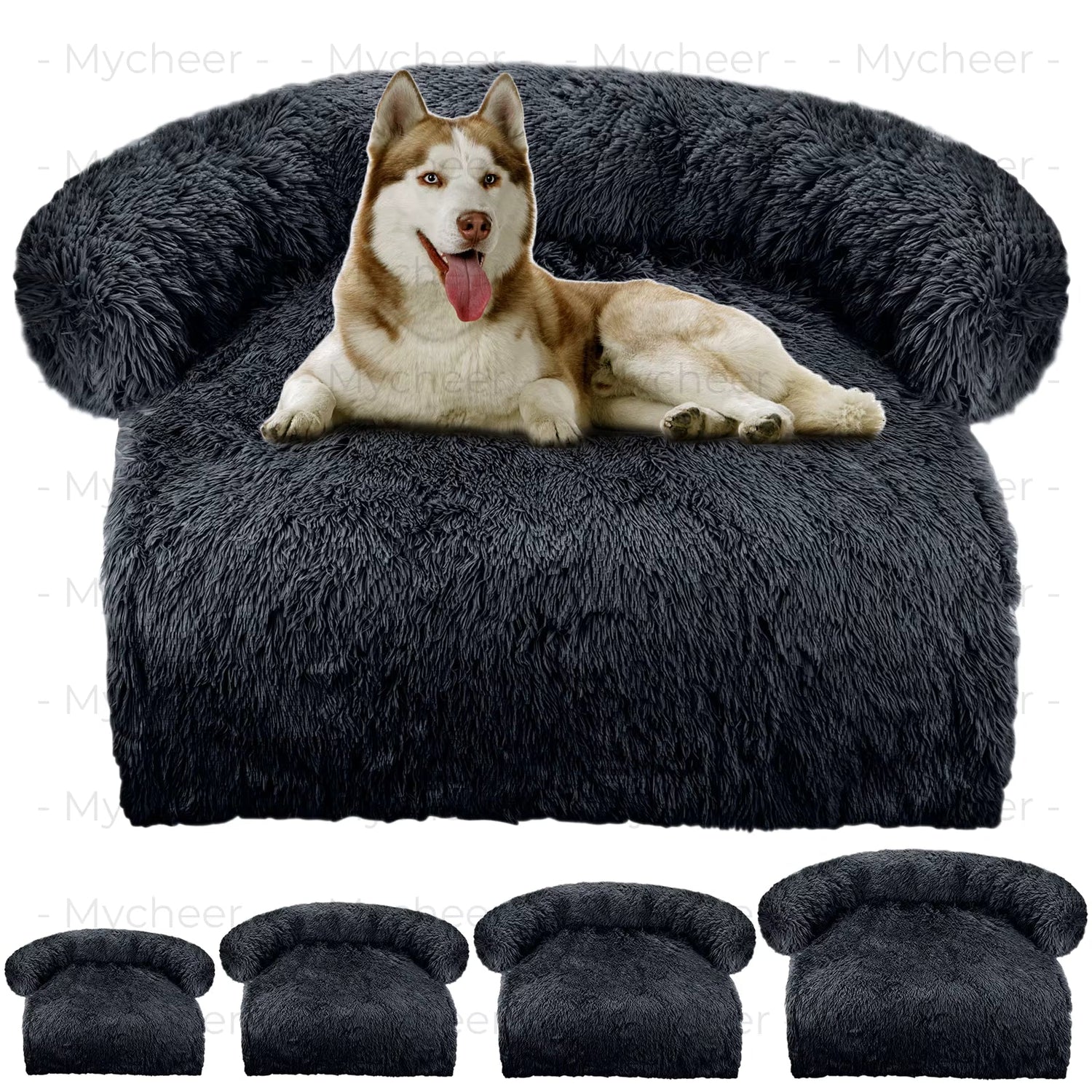 Beds and Kennels