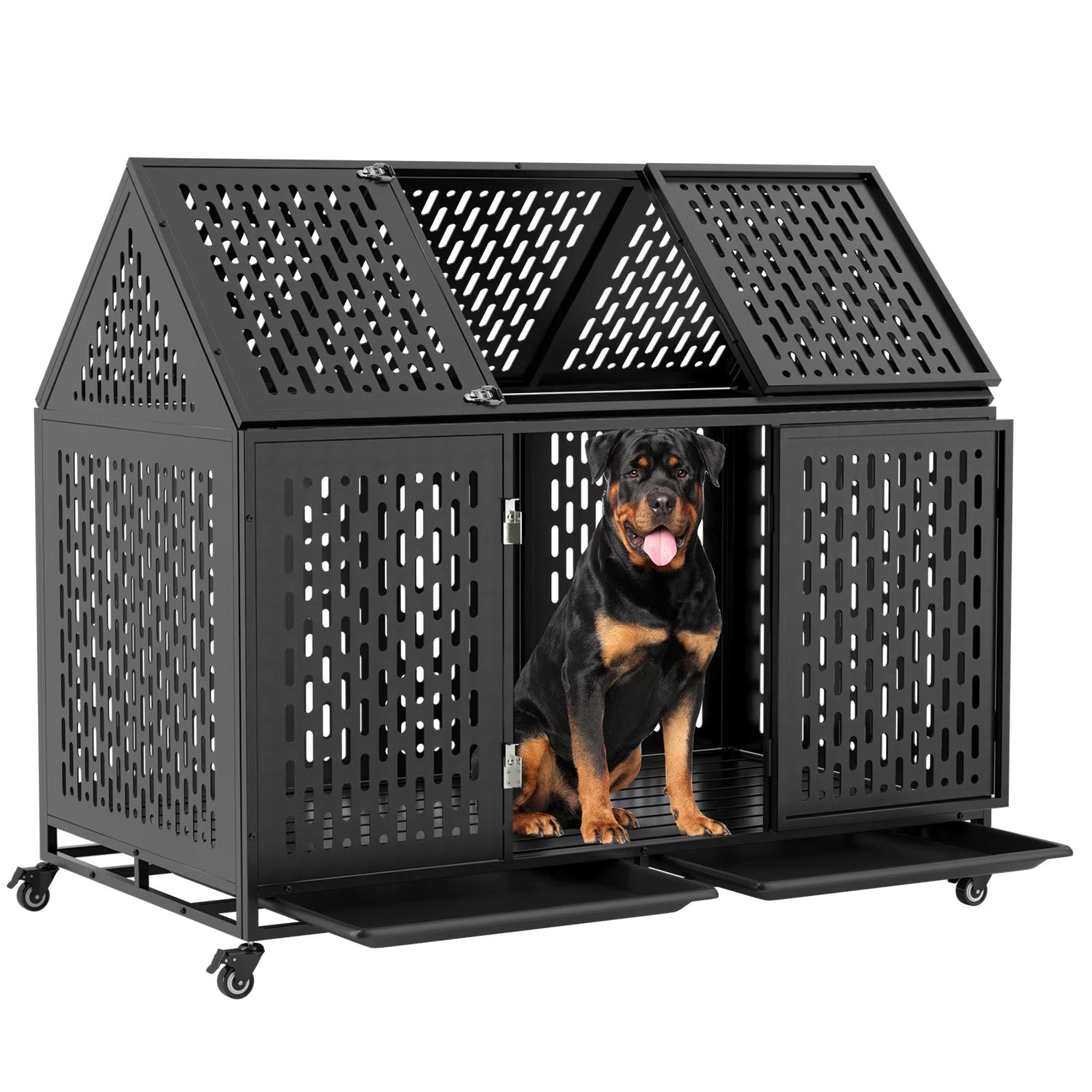 Kennels