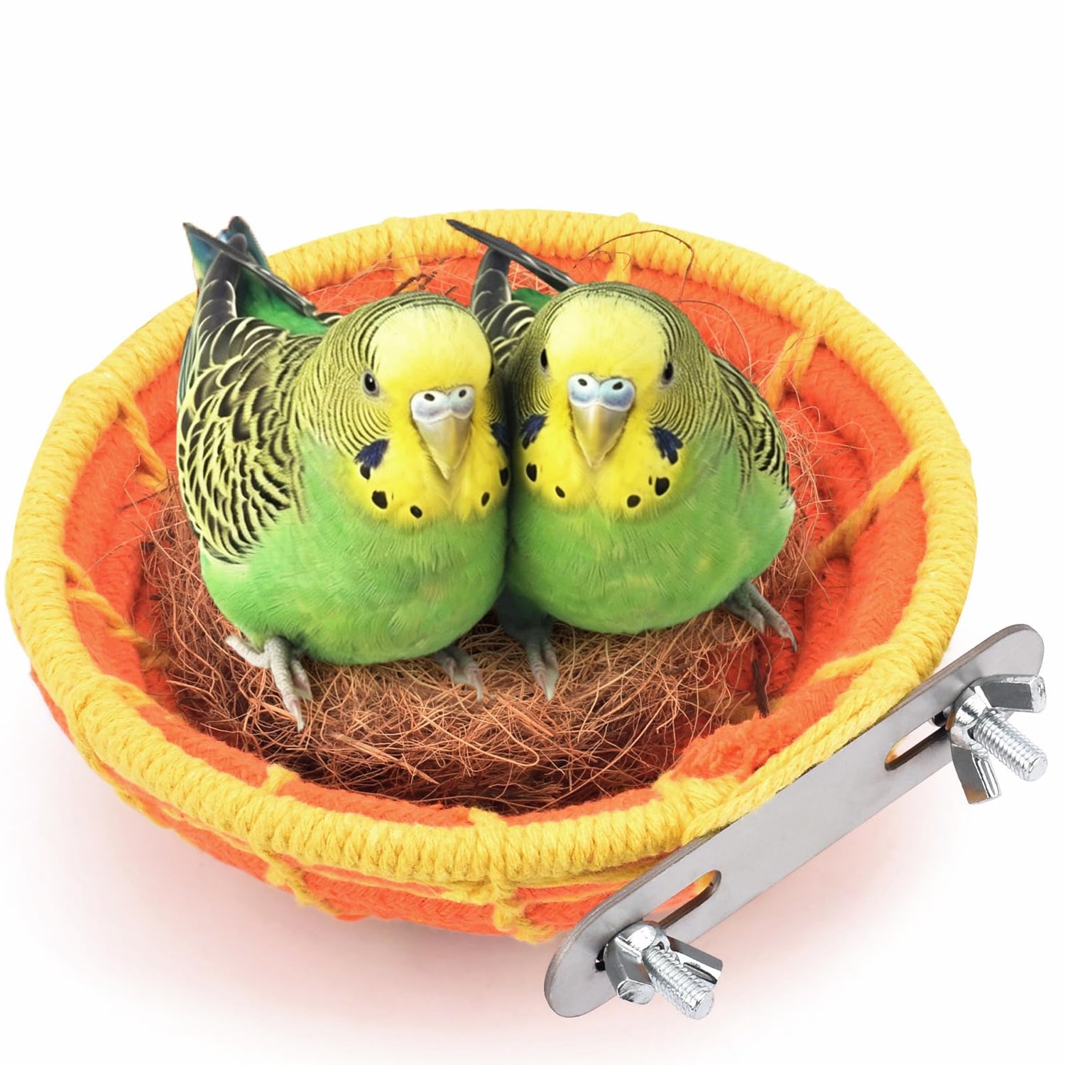 Bird Beds