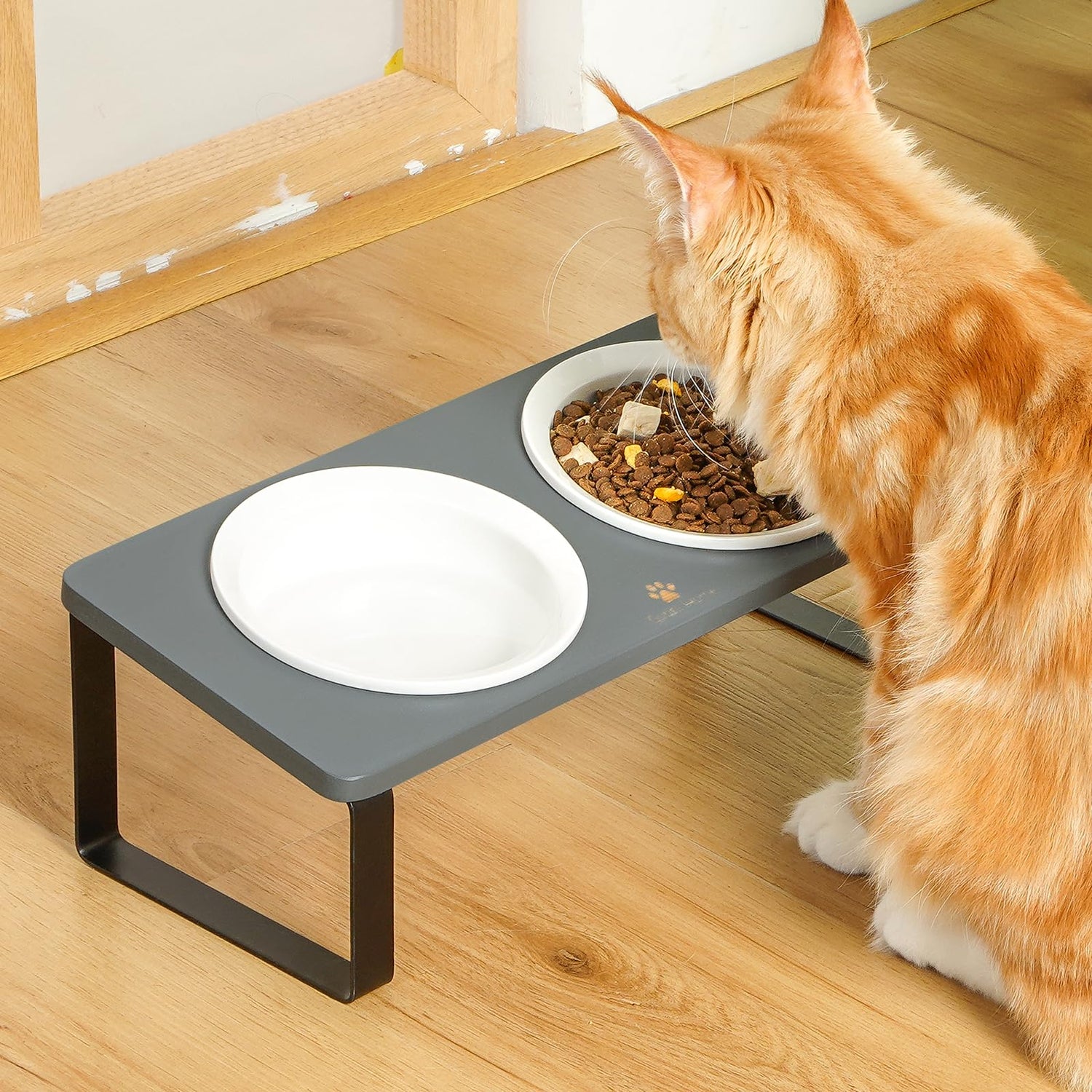 Tilted Food Bowls