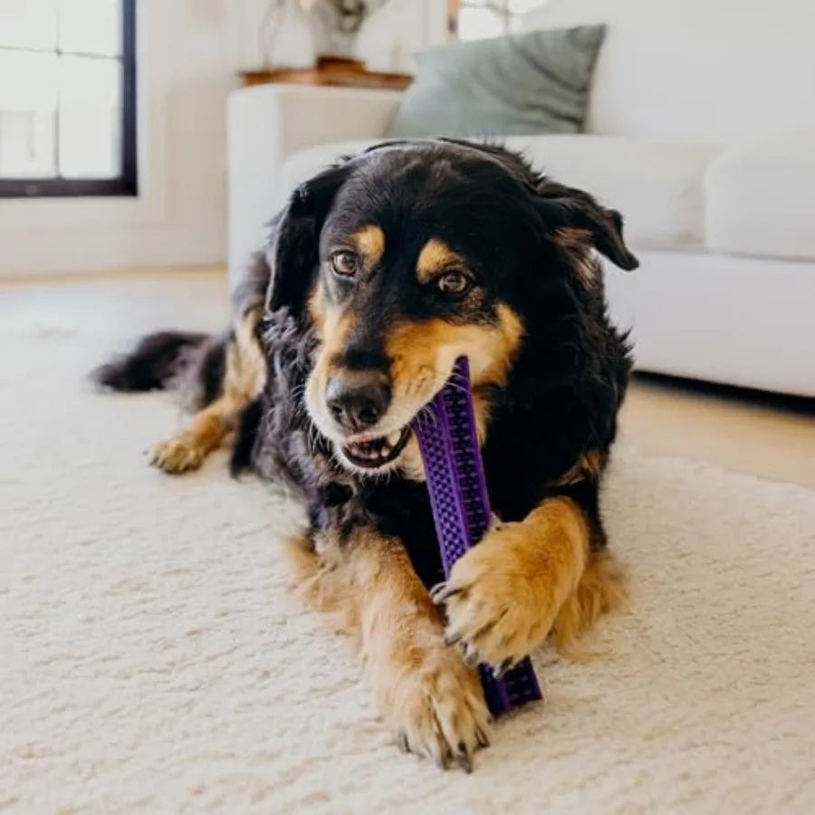 Dental Bundle for Senior Dogs Jumbo Peanut Butter Chew Stick and Pork Sausage Chew Ball Gentle on Gums and Made from Non Toxic