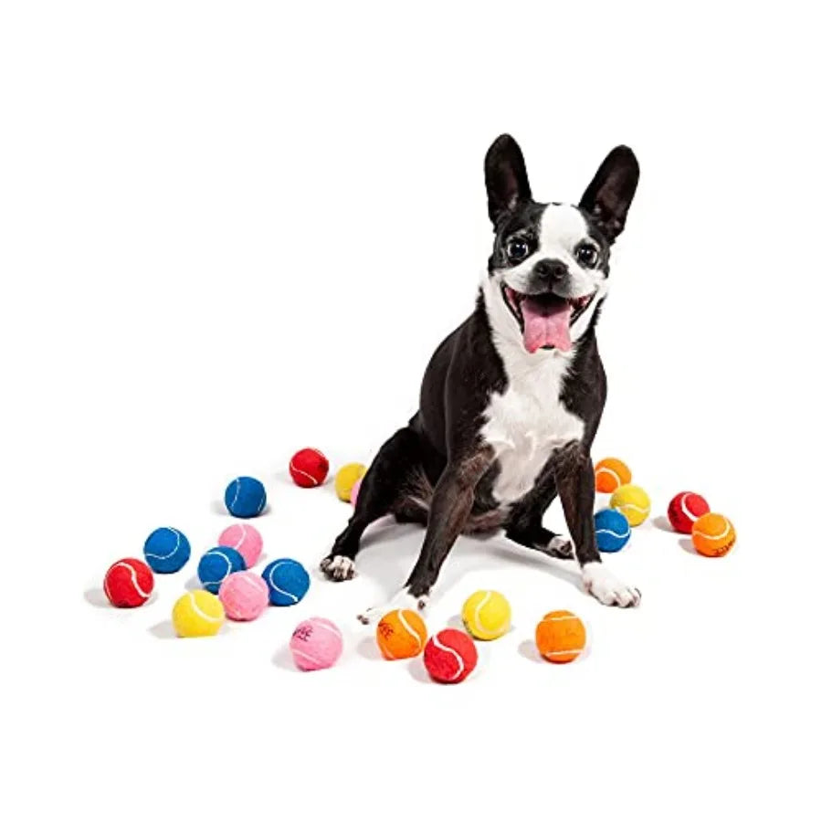 1.5" Mini Dog Tennis Balls Bulk Set of 25 Assorted Colors