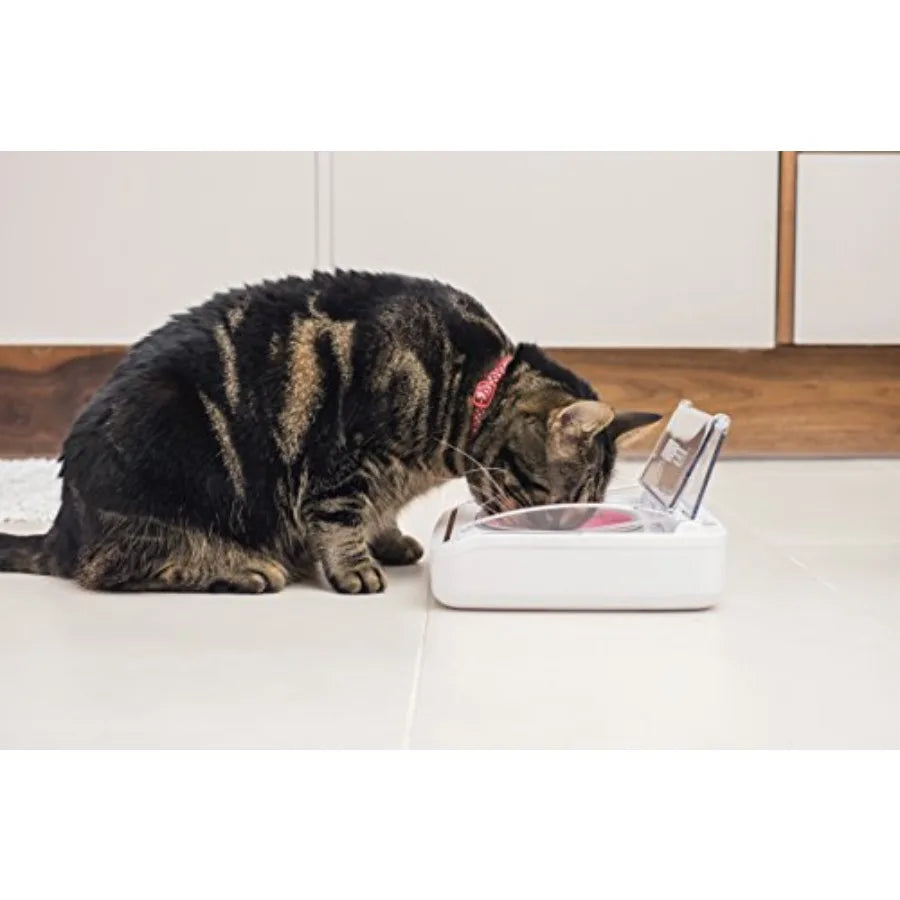 SureFeed Motion Activated Sealed Pet Bowl with T Microchip Activation for Secure Feeding Durable Plastic Black Prevents Unautho