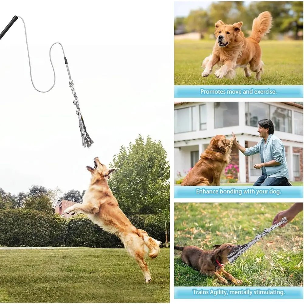Interactive Chase and Tug o War Outdoor Dog Toys, Heavy Duty Dog Teaser Wand Chase Toys with Rope, Durable Stick Pole for Dogs O