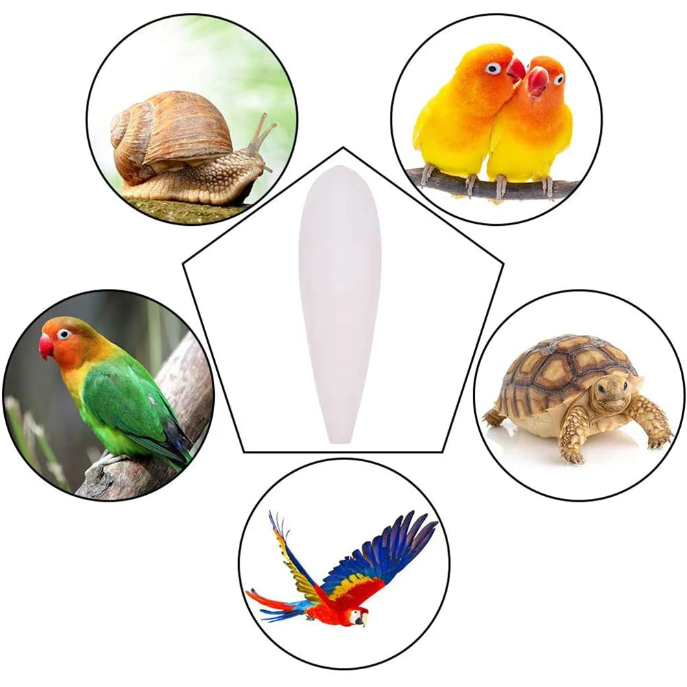 Cuttlefish Bone Parrot Chewing Toys Creative Parrot Chewing Toy Bird Food Calcium Cuttlebone Pick Stone Pet Products