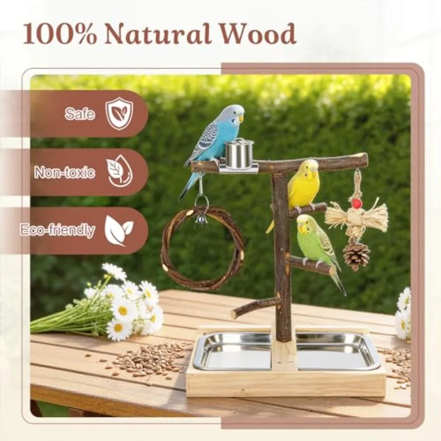Bird Playground, Natural Wooden Parrot Play Stand with Swing, Chew Toys, Feeding Cups, Bird Perch Suitable for Small and Medium