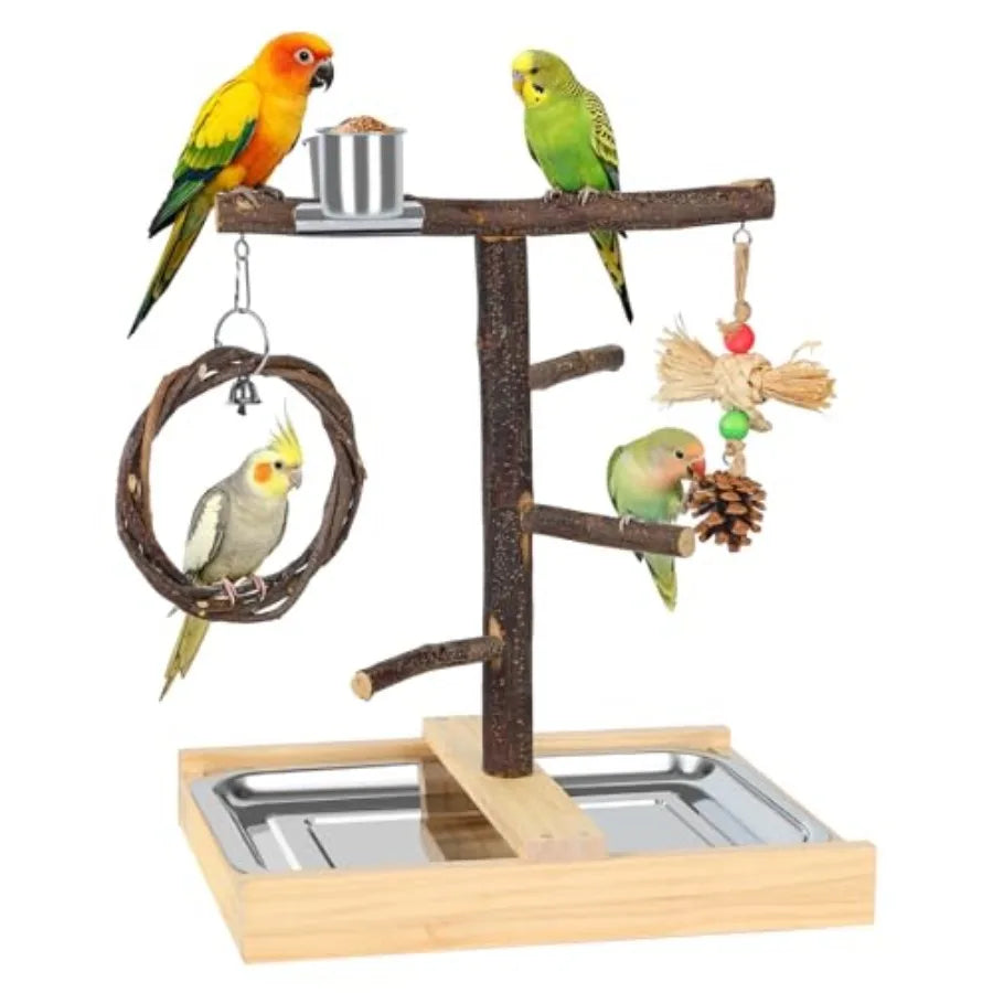 Bird Playground, Natural Wooden Parrot Play Stand with Swing, Chew Toys, Feeding Cups, Bird Perch Suitable for Small and Medium