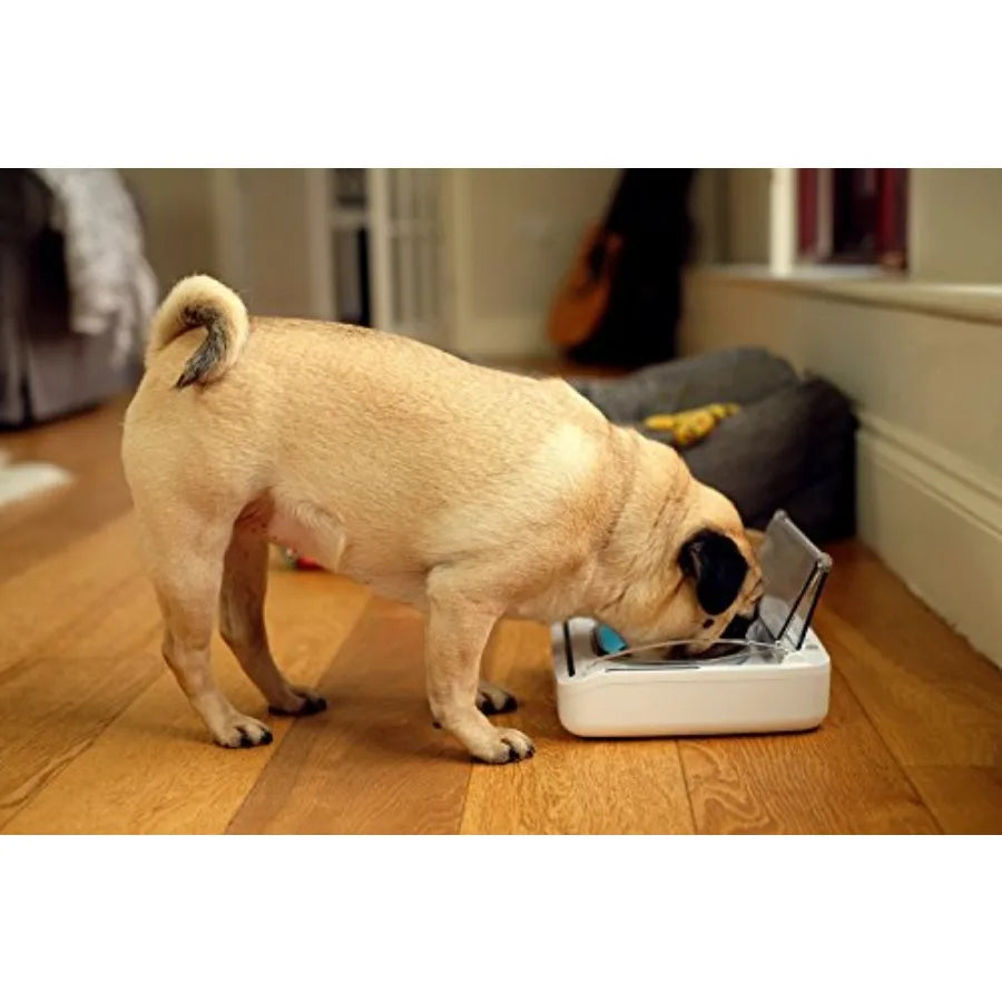 SureFeed Motion Activated Sealed Pet Bowl with T Microchip Activation for Secure Feeding Durable Plastic Black Prevents Unautho