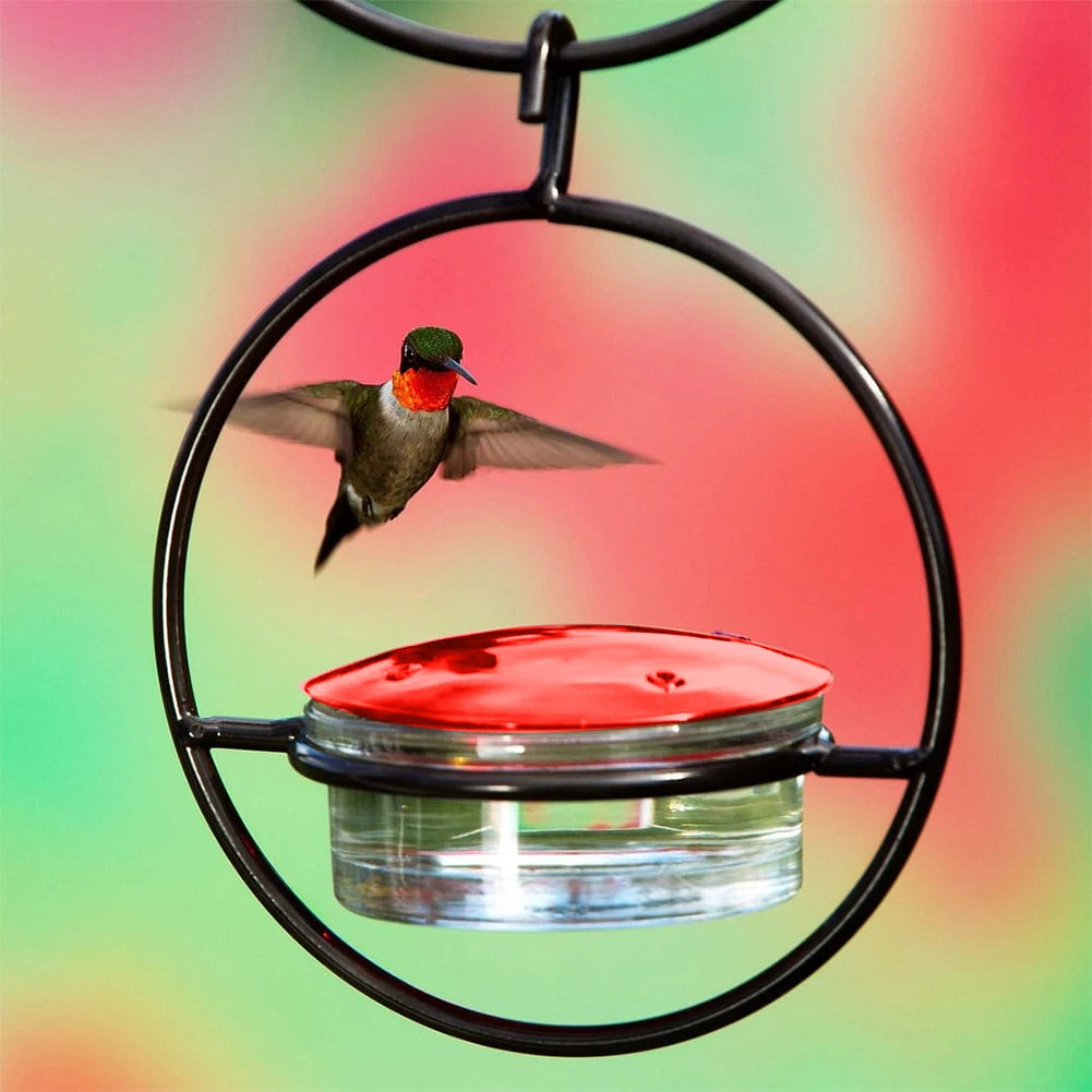 Circular Hanging Hummingbird Feeder Attract Birds Ant Bee Proof with Red Plastic Bowl for Outside Garden Backyard Patio Deck