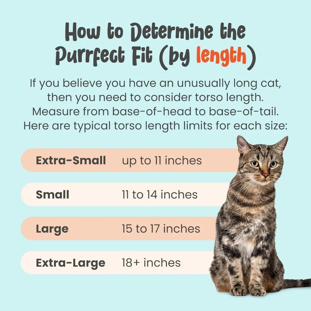 Extra Large Red Soft Pet Carrier for Nail Trimming, Vet Visits, Medication, Dental Care, and Travel