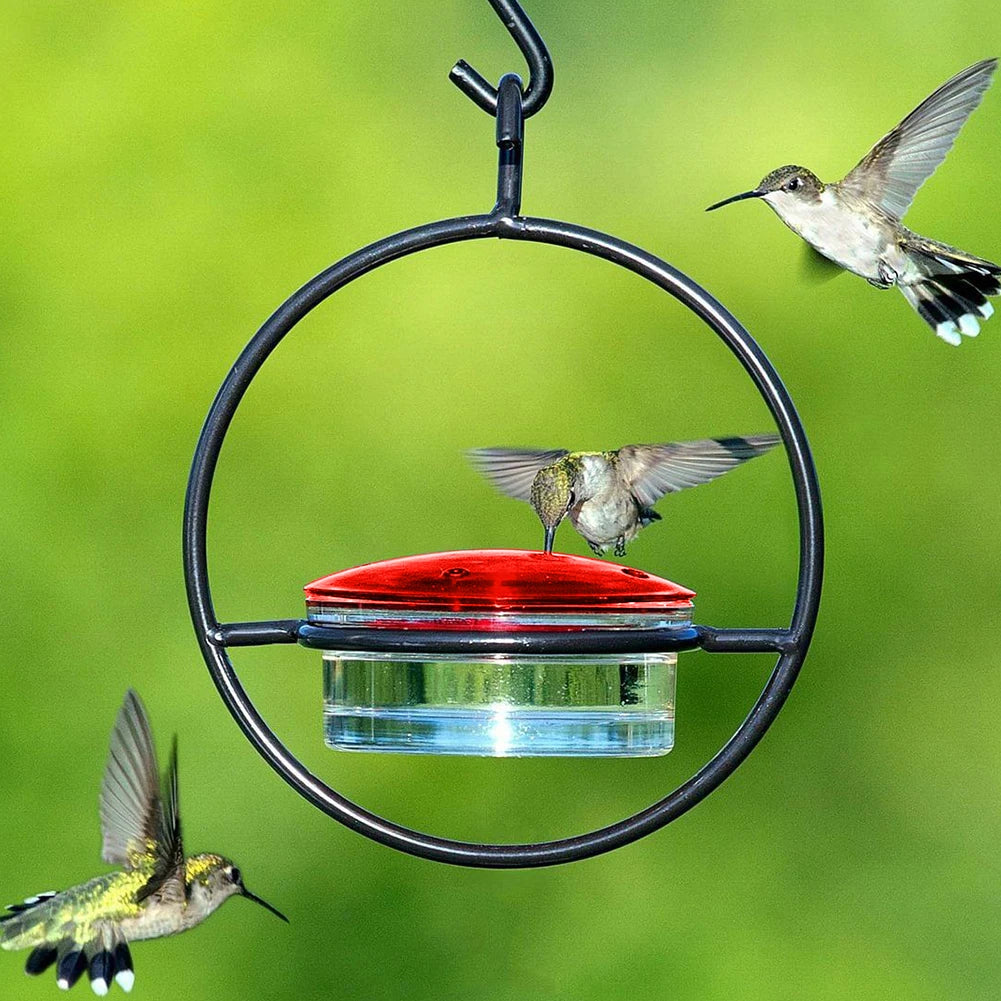 Circular Hanging Hummingbird Feeder Attract Birds Ant Bee Proof with Red Plastic Bowl for Outside Garden Backyard Patio Deck