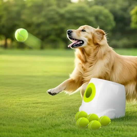Automatic Dog Ball Launcher, Interactive Fetch Toy for Medium to Large Dogs, Rechargeable Pet Ball Thrower Machine for Outdoor