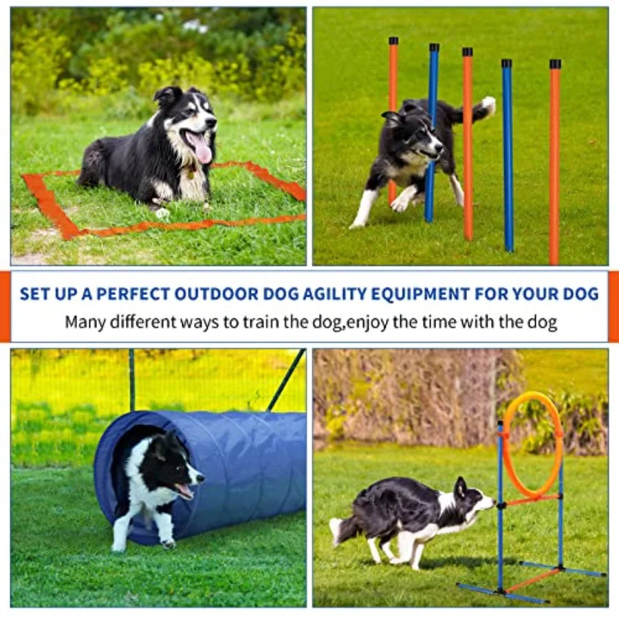 Dog Agility Training Equipment, 60-piece Dog Obstacle Course Training Starter Kit Pet Outdoor Game with Tunnel, Agility Hurdle,