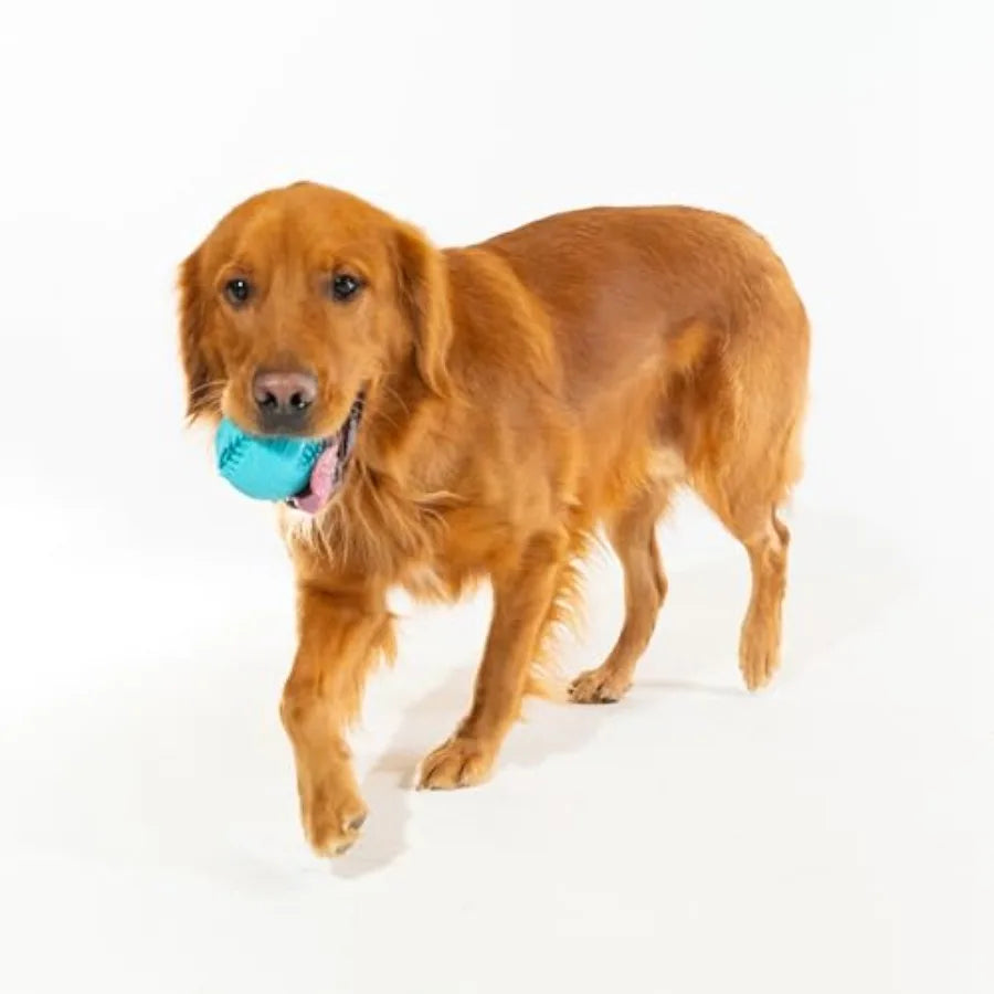 Dental Bundle for Senior Dogs Jumbo Peanut Butter Chew Stick and Pork Sausage Chew Ball Gentle on Gums and Made from Non Toxic