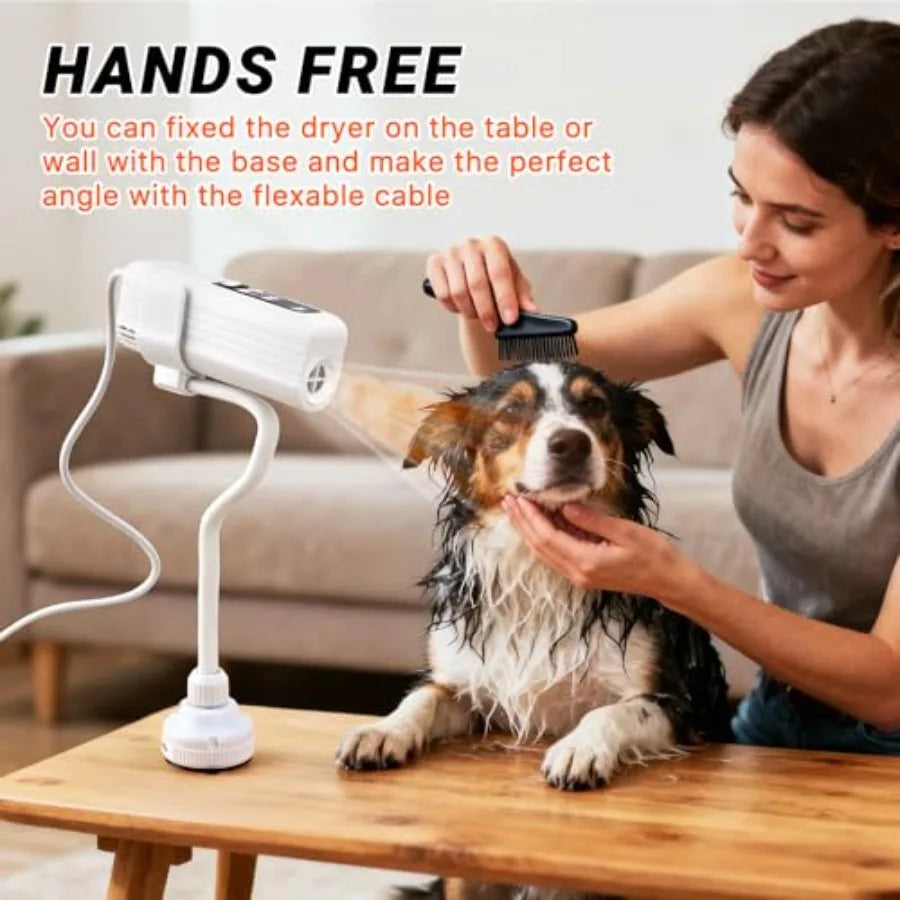Dog Dryer Pet Hair Dryer 110 000 RPM Brushless High-Speed Blower for Dogs and Cats Quiet 1000W Portable Grooming Pet Dryer with