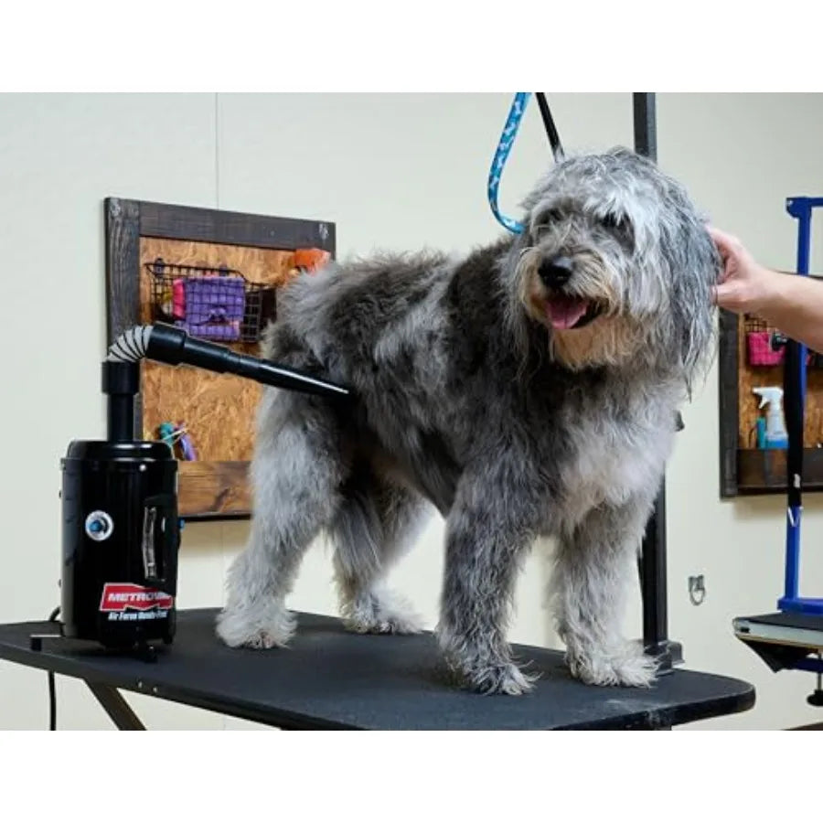 Air Force Hands-Free High Velocity Dog Hair Dryer Variable Speed Pet Grooming Blower with Heat and Adjustable Hose