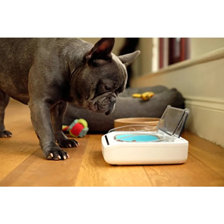 SureFeed Motion Activated Sealed Pet Bowl with T Microchip Activation for Secure Feeding Durable Plastic Black Prevents Unautho