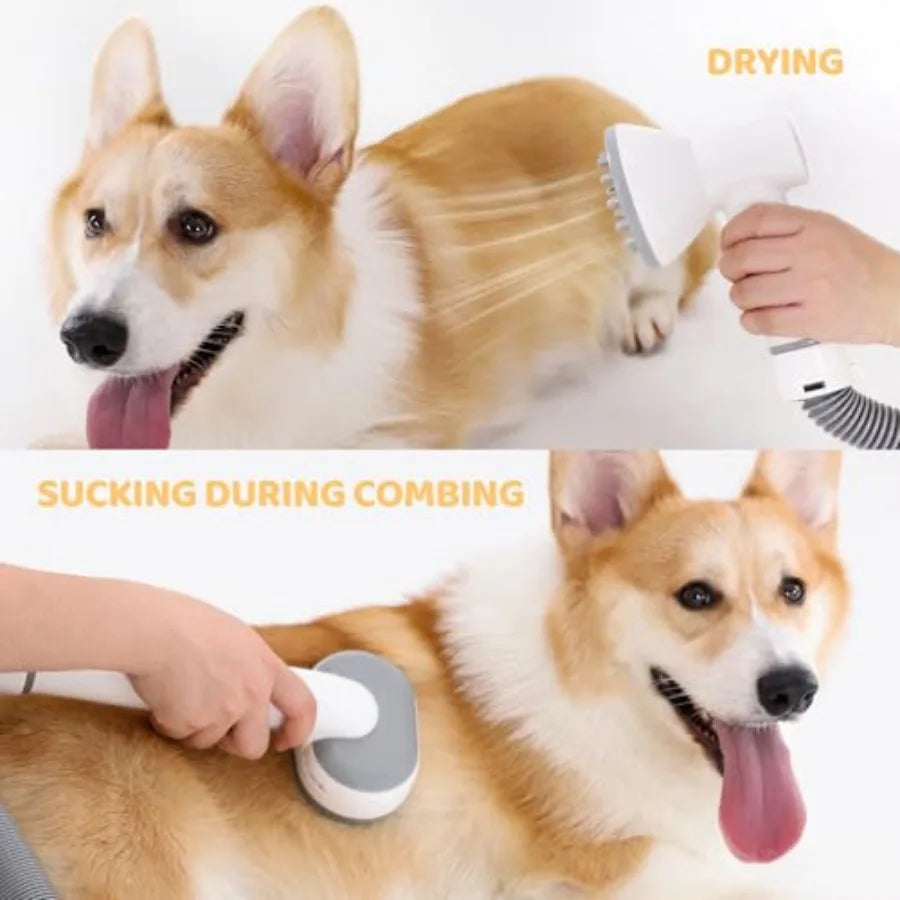 Exacme 7 in 1 Dog Grooming Vacuum and Dryer Grooming Kit Suction Pet Hair with 2.5L Dust Cup Adjustable Speed and Temperature C