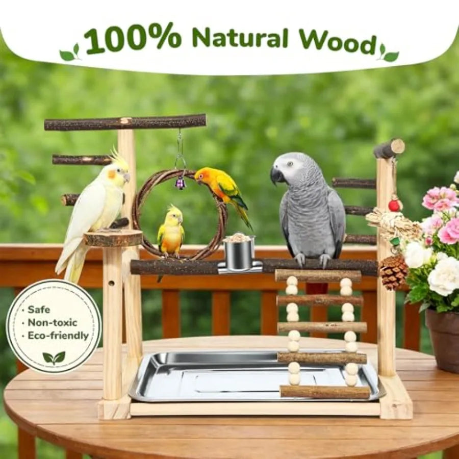 Bird Playground, Parrot Stand with Feeding Cup, Swing, Chew Toys, Removable Tray, Suitable for Small to Medium Birds, Ideal Per