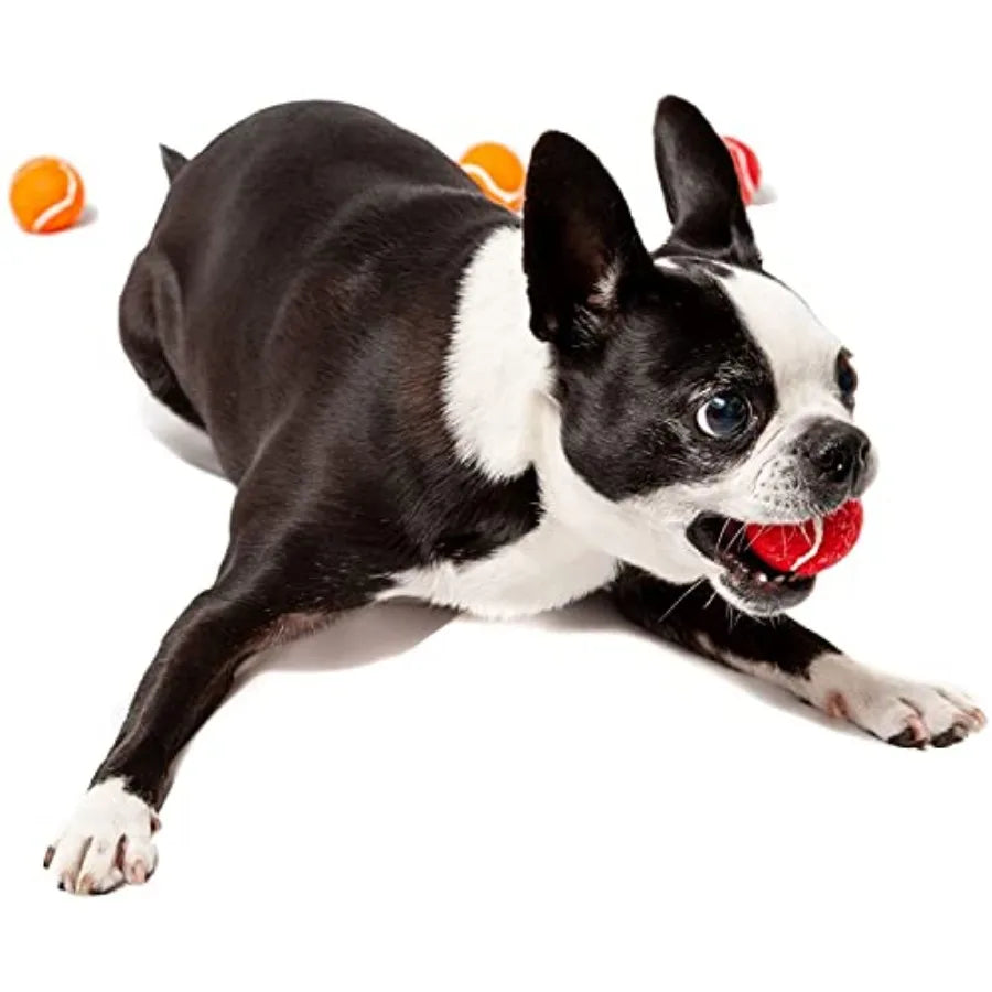 1.5" Mini Dog Tennis Balls Bulk Set of 25 Assorted Colors