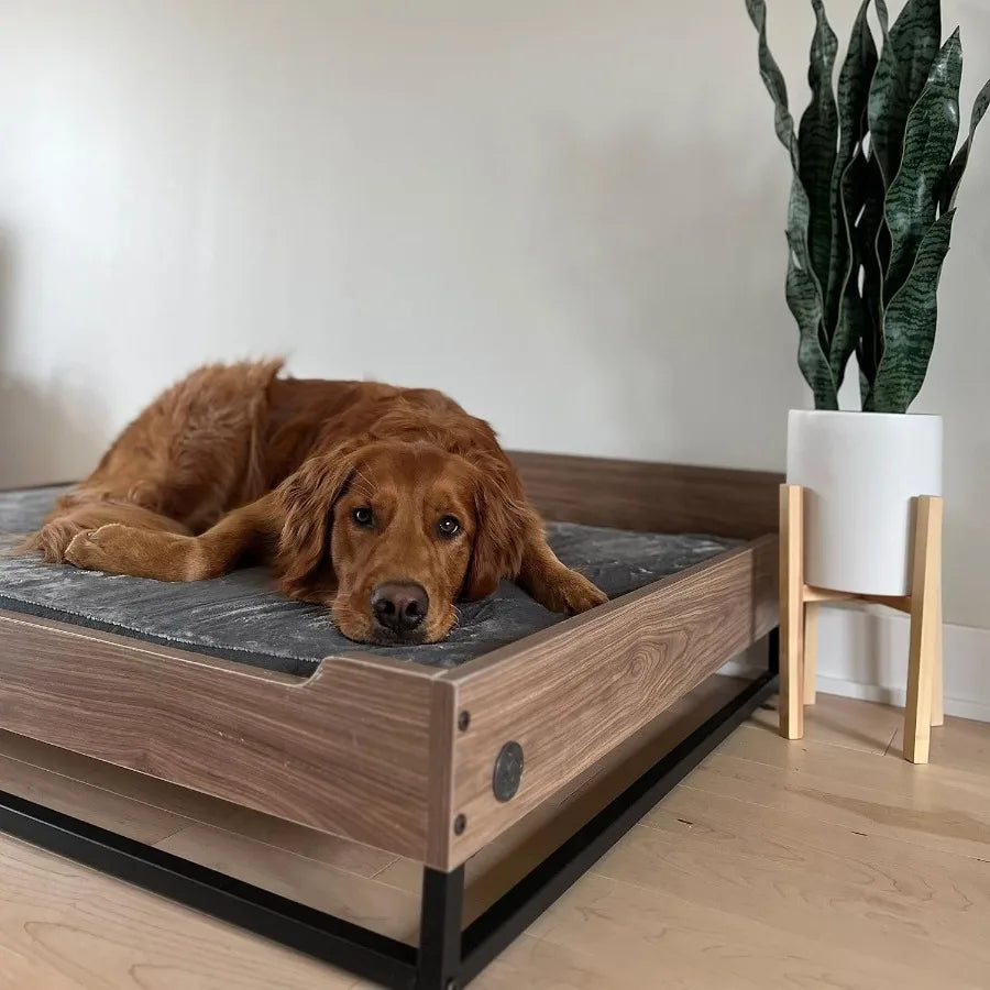 Milo Wooden Dog Bed Couch with Water-Resistant Mattress Large to Extra Large Elevated Pet Bed with Calming Mattress Greenguard