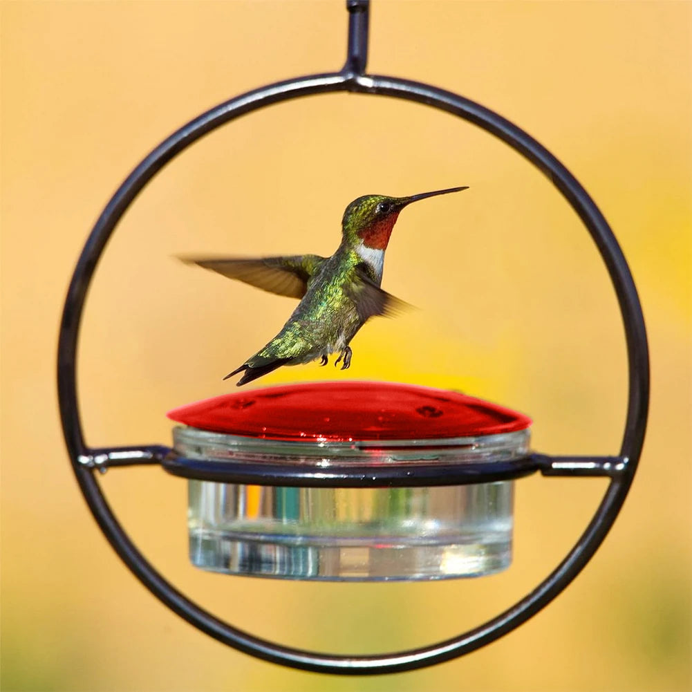 Circular Hanging Hummingbird Feeder Attract Birds Ant Bee Proof with Red Plastic Bowl for Outside Garden Backyard Patio Deck