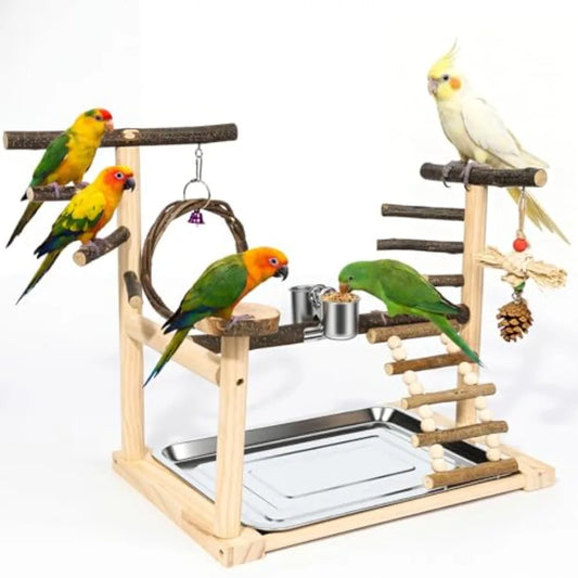 Bird Playground, Parrot Stand with Feeding Cup, Swing, Chew Toys, Removable Tray, Suitable for Small to Medium Birds, Ideal Per