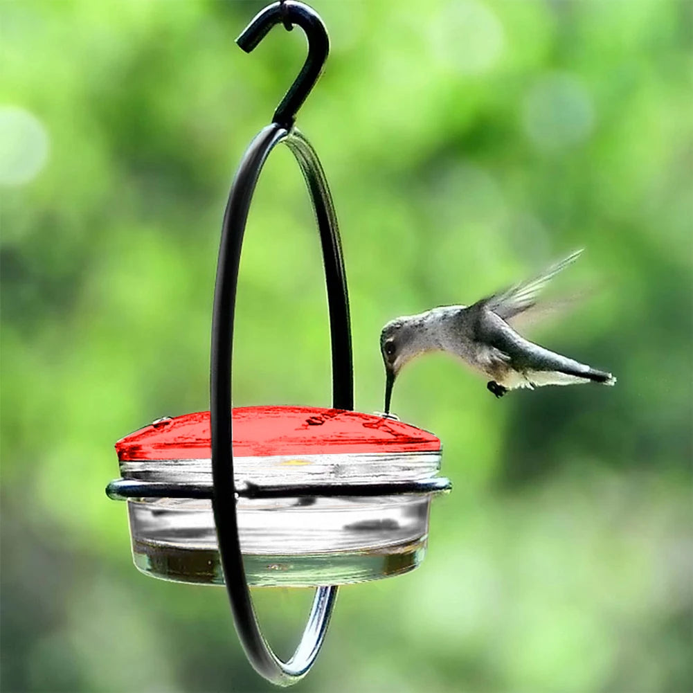 Circular Hanging Hummingbird Feeder Attract Birds Ant Bee Proof with Red Plastic Bowl for Outside Garden Backyard Patio Deck